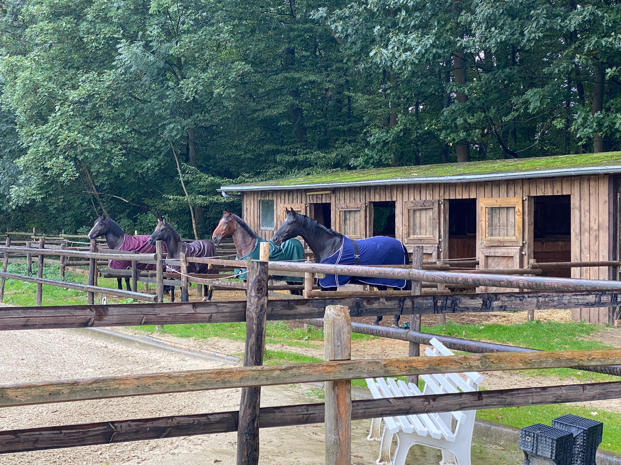 Paddock boxen am RSV Rodenkirchen