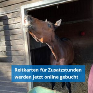 Reitkarten jetzt online buchen bei RSV Köln Rodenkirchen