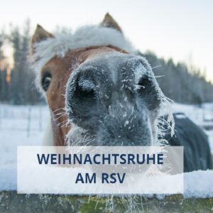 Hilfe bei der Pferdebewegung - Weihnachtsruhe